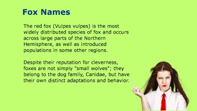 Fox Names: Cute, Funny, and Magical Ideas