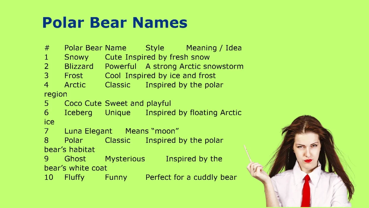 Polar Bear Names: Cute, Powerful, Funny & Unique Ideas