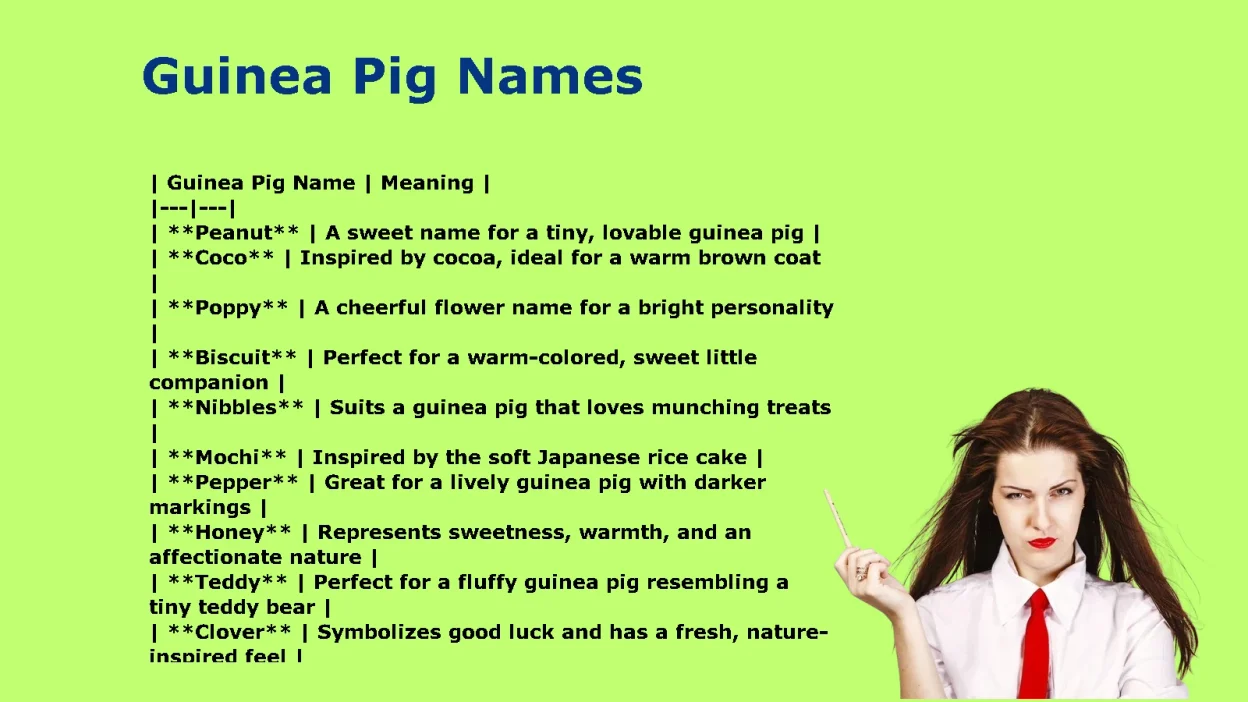 Cute Guinea Pig Names for Sweet Little Personalities