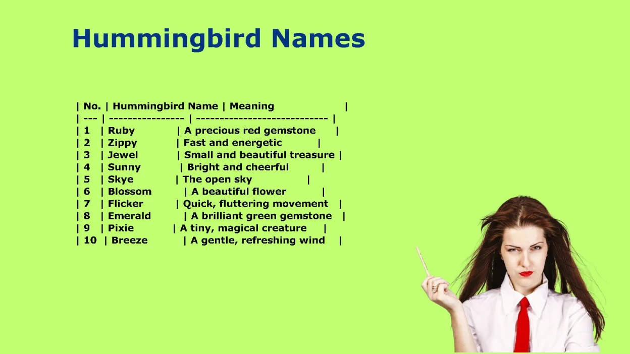 Unique Hummingbird Names for Every Personality