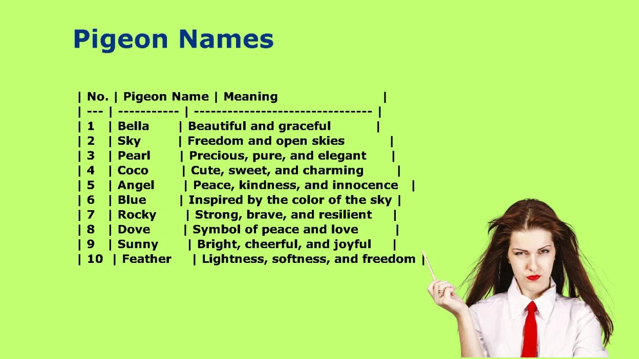 Popular Pigeon Names for Your Pet