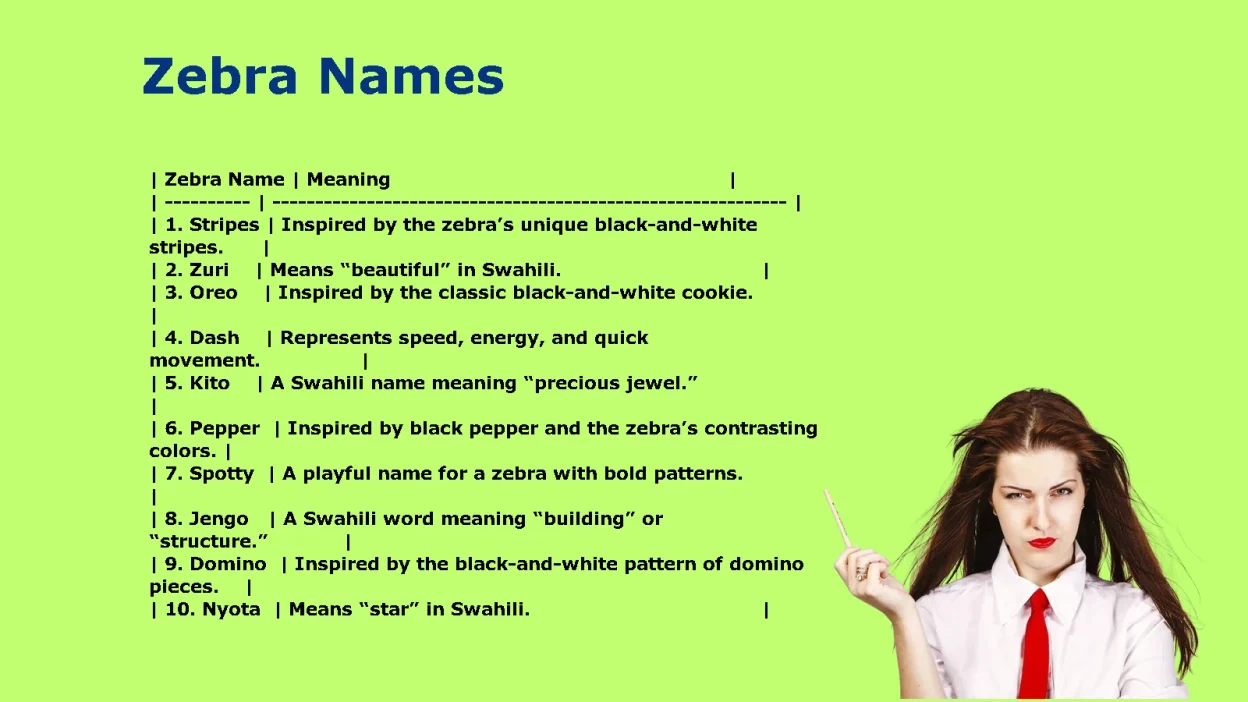 Unique Zebra Names for Your Striped Friend
